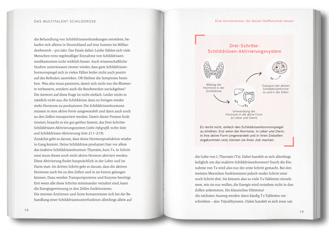 Aufgeschlagenes Buch, zeigt einblick in das erste Kapitel